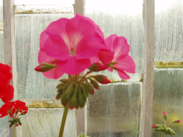 P1060053.JPG