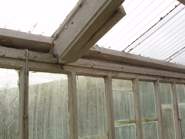 P1060056.JPG