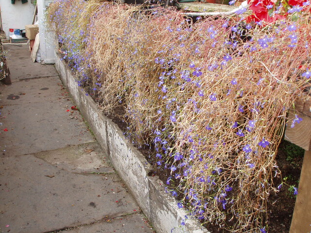 P1060059.JPG