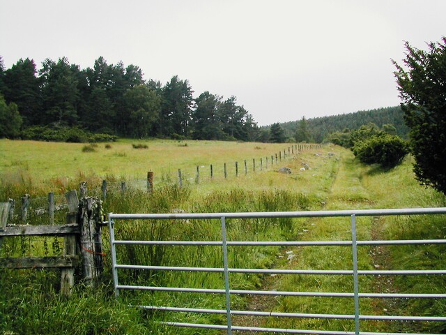 EHG3811_1UpperCamerorie.JPG