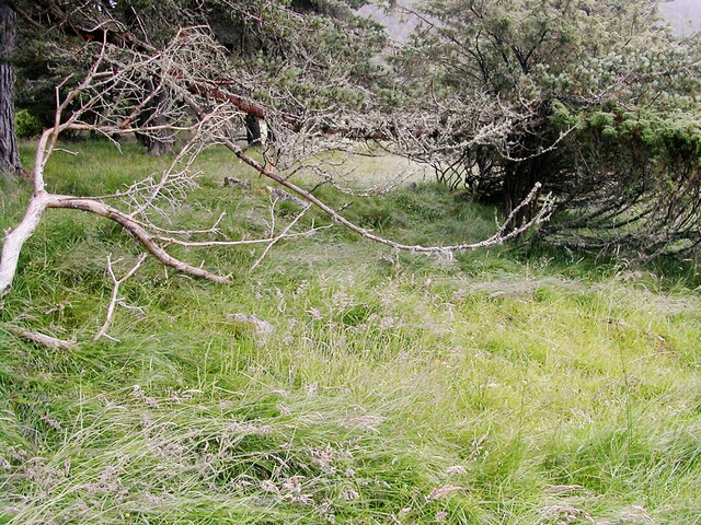 EHG3811_3UpperCamerorie.JPG
