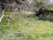 EHG3811_3UpperCamerorie.JPG