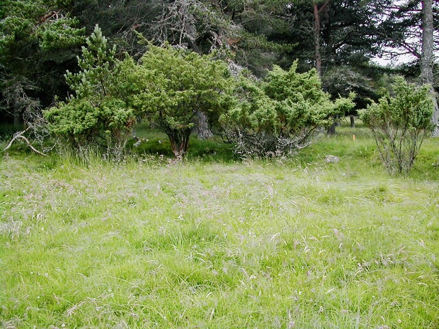 EHG3811_5UpperCamerorie.JPG