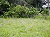 EHG3811_5UpperCamerorie.JPG
