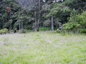 EHG3811_6UpperCamerorie.JPG