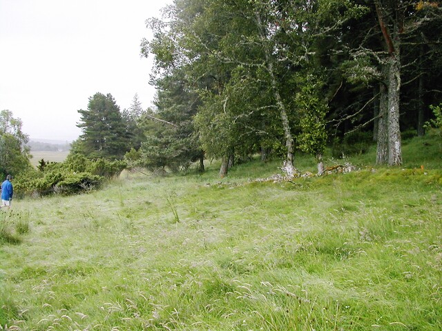 EHG3811_7UpperCamerorie.JPG