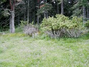 RHG3811_8UpperCamerorie.JPG