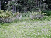EHG3811_9UpperCamerorie.JPG