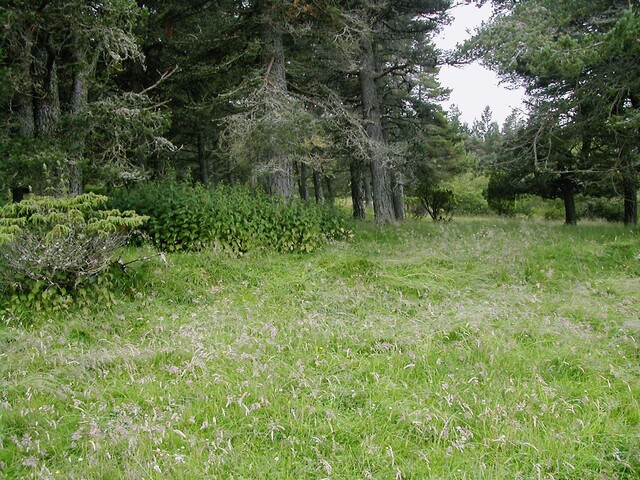 EHG3811_10UpperCamerorie.JPG