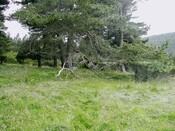 EHG3811_11UpperCamerorie.JPG