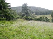EHG3811_12UpperCamerorie.JPG