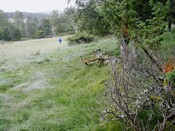 EHG3811_13Upper Camerorie.JPG