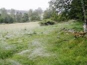 EHG3811_14UpperCamerorie.JPG