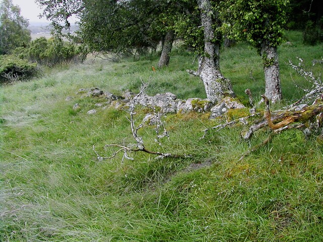 EHG3811_15UpperCamerorie.JPG