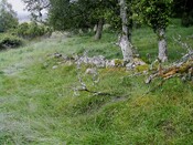 EHG3811_15UpperCamerorie.JPG
