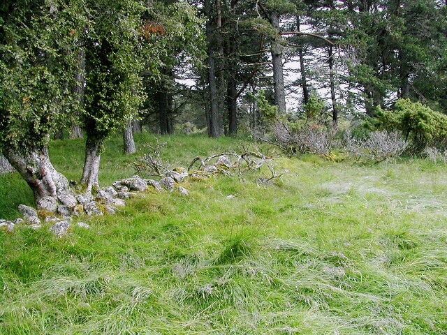 EHG3811_16UpperCamerorie.JPG