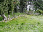EHG3811_16UpperCamerorie.JPG