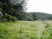 EHG3811_17UpperCamerorie.JPG