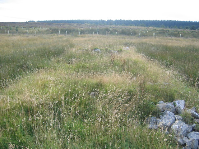EHG3814_4AchowLybster.JPG