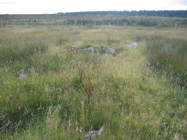 EHG3814_5AchowLybster.JPG