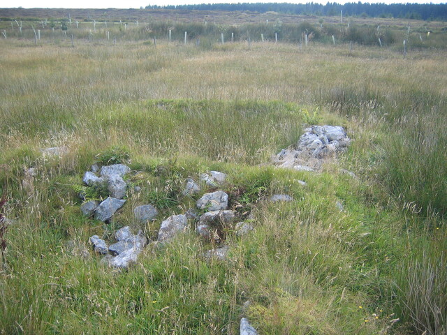 EHG3814_6AchowLybster.JPG