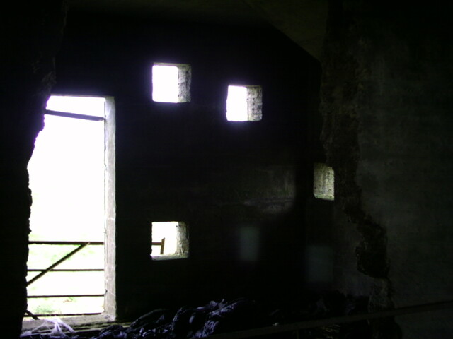 EHG3819_13.JPG