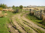 EHG3821_1.jpg