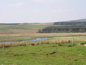 EHG3821_23.jpg