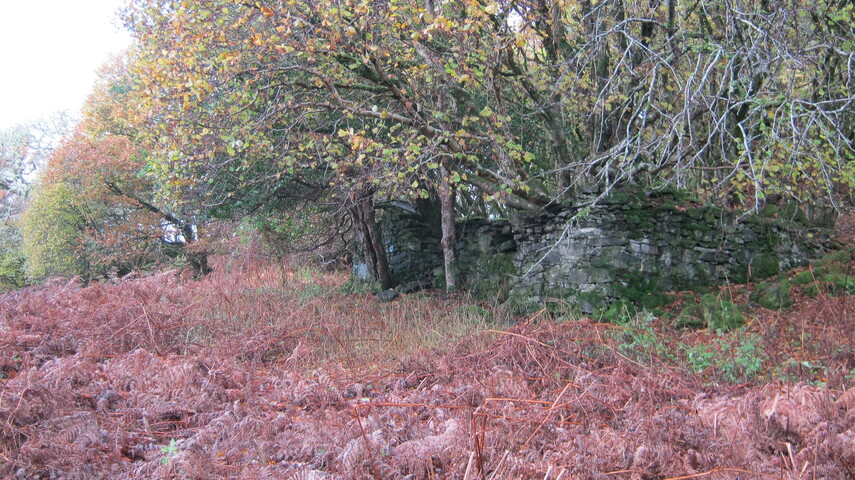 SHG25894_004.JPG