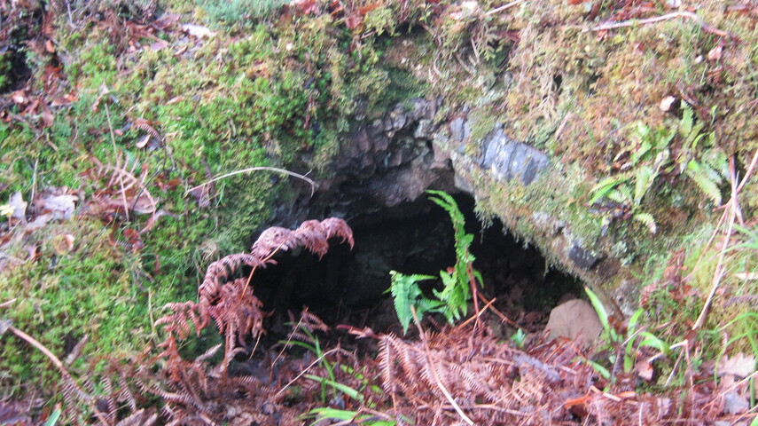 SHG25894_011.JPG