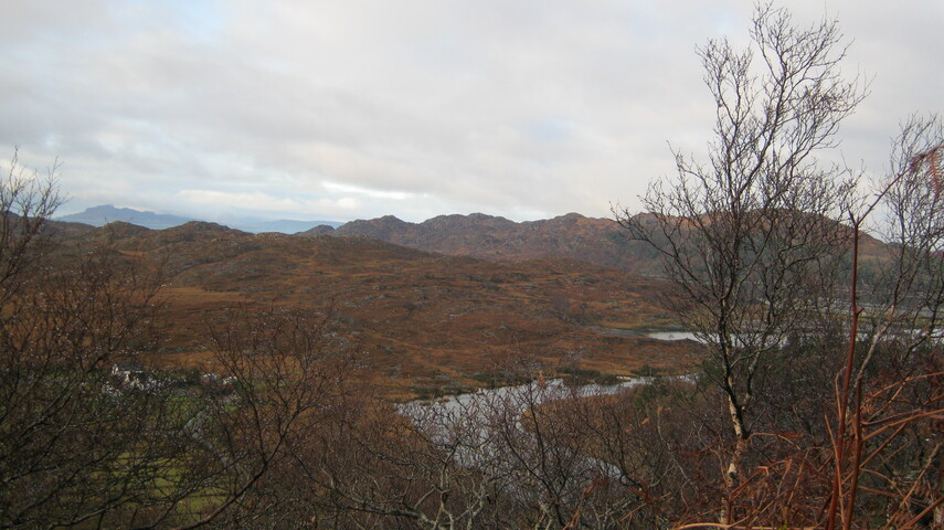 SHG25894_013.JPG