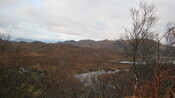 SHG25894_013.JPG