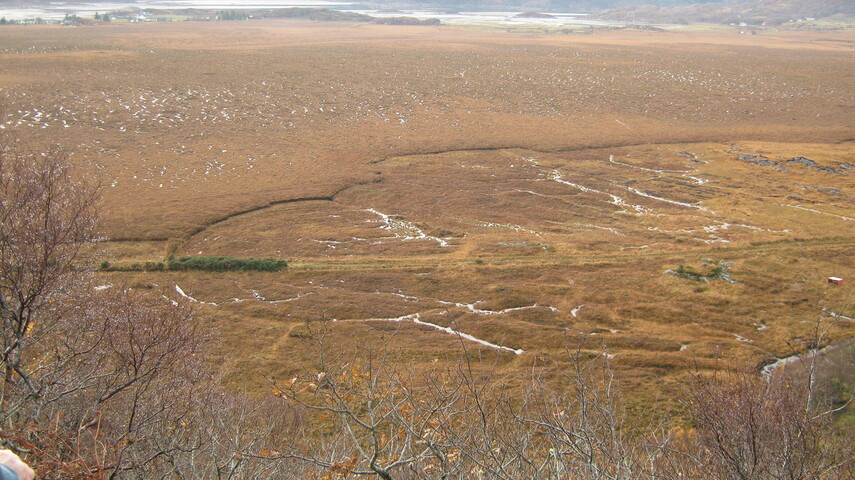 SHG25894_016.JPG
