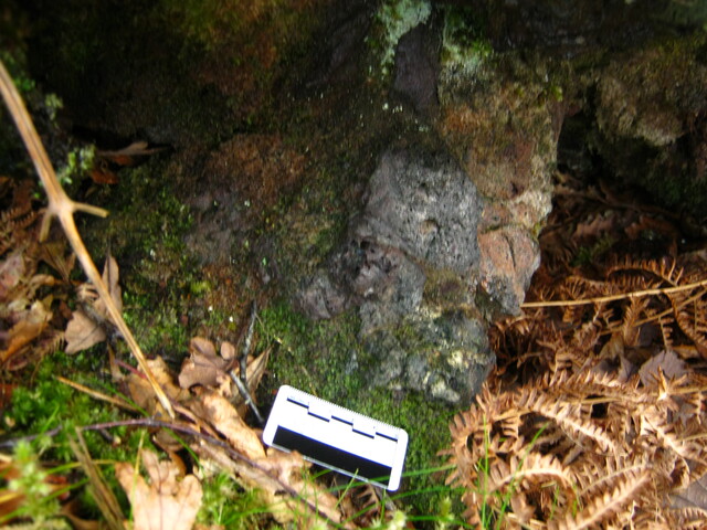 SHG25894_021.JPG