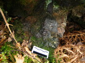 SHG25894_021.JPG