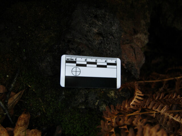 SHG25894_022.JPG