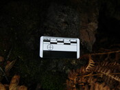 SHG25894_022.JPG