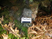 SHG25894_024.JPG