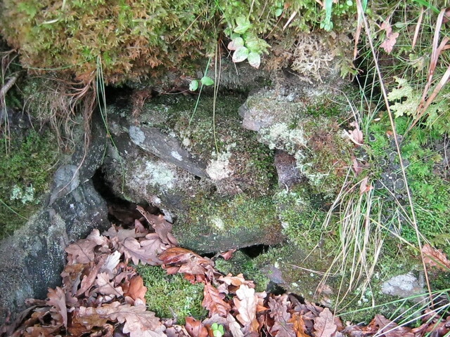 SHG25894_025.JPG