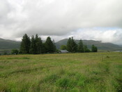 EHG3828_12.JPG