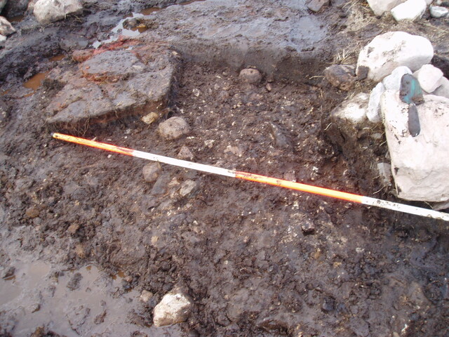 feature 046.jpg