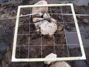 feature2 001.jpg