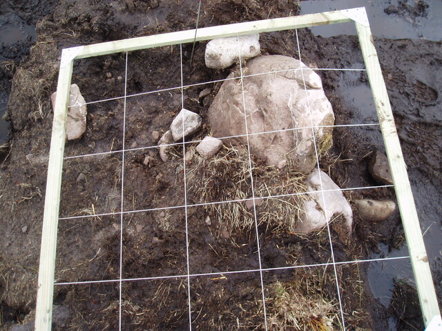 feature2 003.jpg
