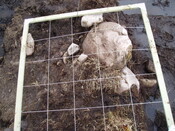 feature2 003.jpg