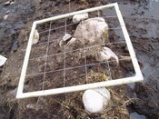 feature2 004.jpg