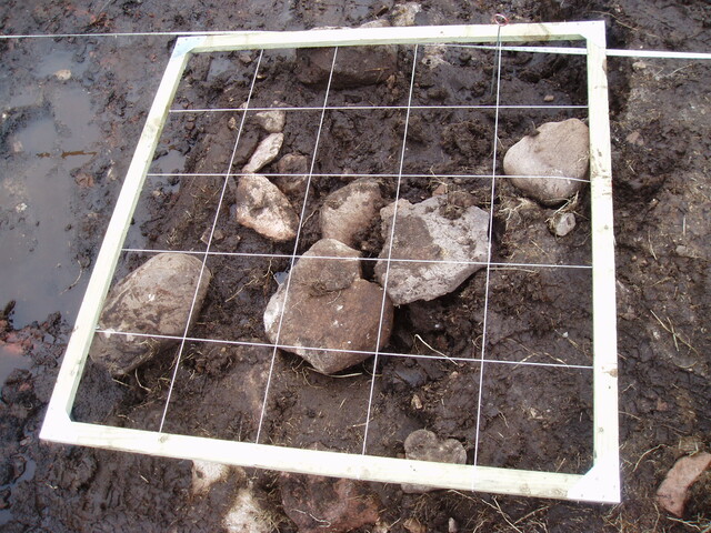 feature2 007.jpg