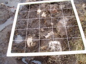 feature2 012.jpg