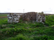 EHG3837_4.JPG