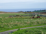 EHG3837_6.JPG