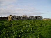 EHG3837_7.JPG